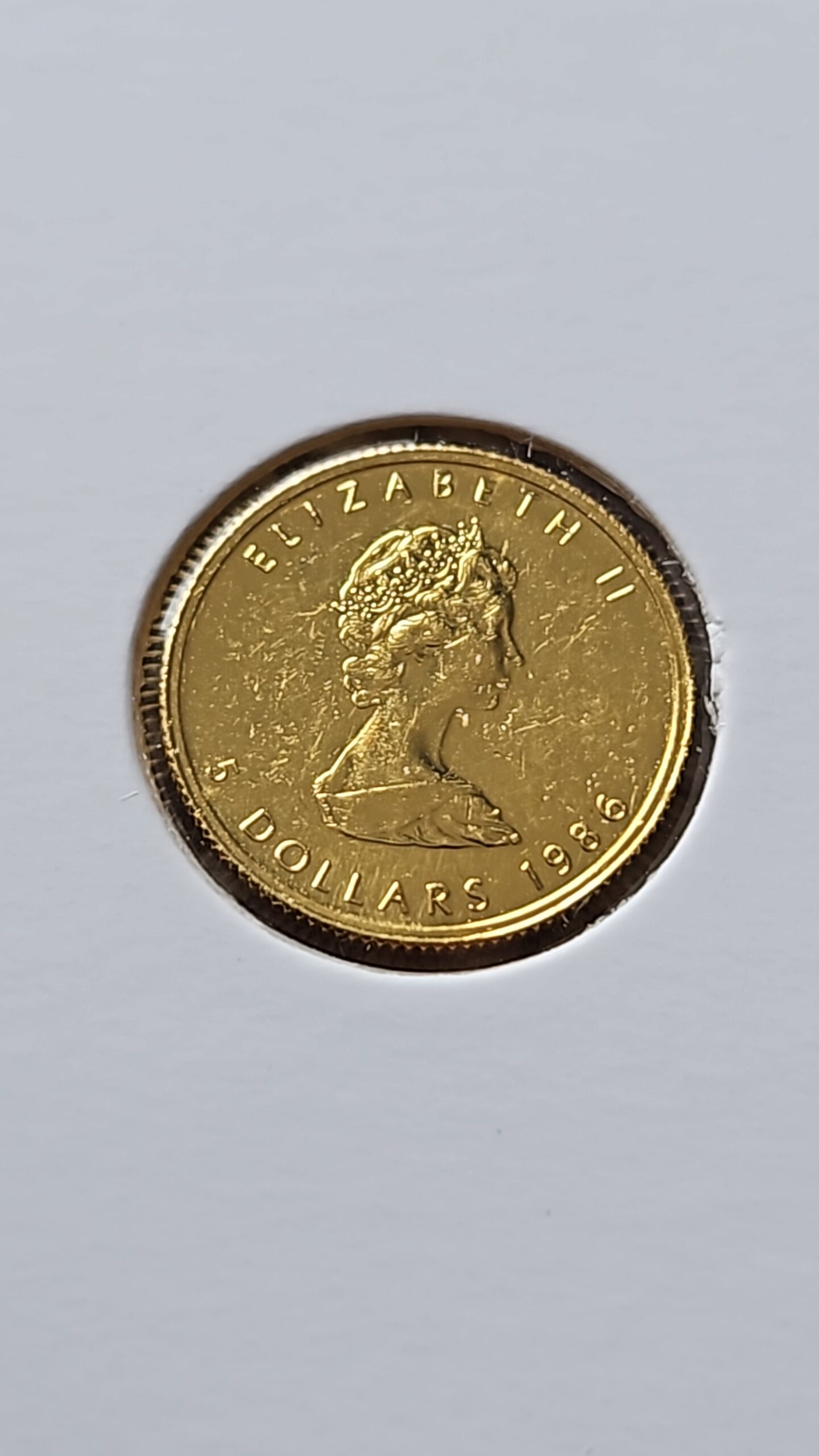 1/10 troy oz Goud Divers - Afbeelding 4
