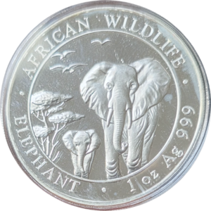 1oz olifant 2015 Somalië